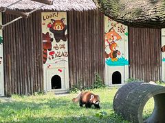 -合肥野生动物园