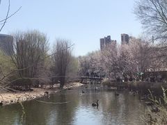 -长白岛森林公园