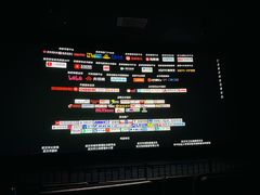 -奥斯卡升龙国际影城(RealD Cinema)