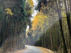 -山王坪喀斯特国家生态公园