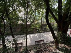 -九龙公园