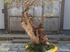 -个园