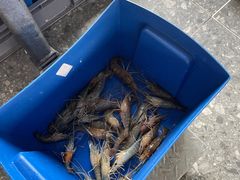 -SHRIMP CLUB万东餐饮钓虾·清吧