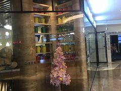 -缘生态云南菜·野生菌庭院餐厅(华侨城店)