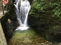 -牛背梁国家森林公园