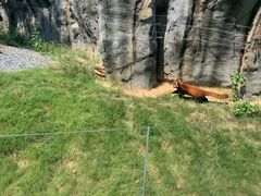-武汉动物园