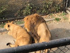 -大连森林动物园