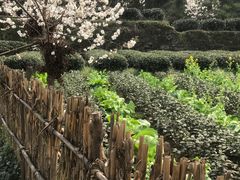 -樱桃山旅游景区