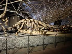 -世界恐龙谷景区