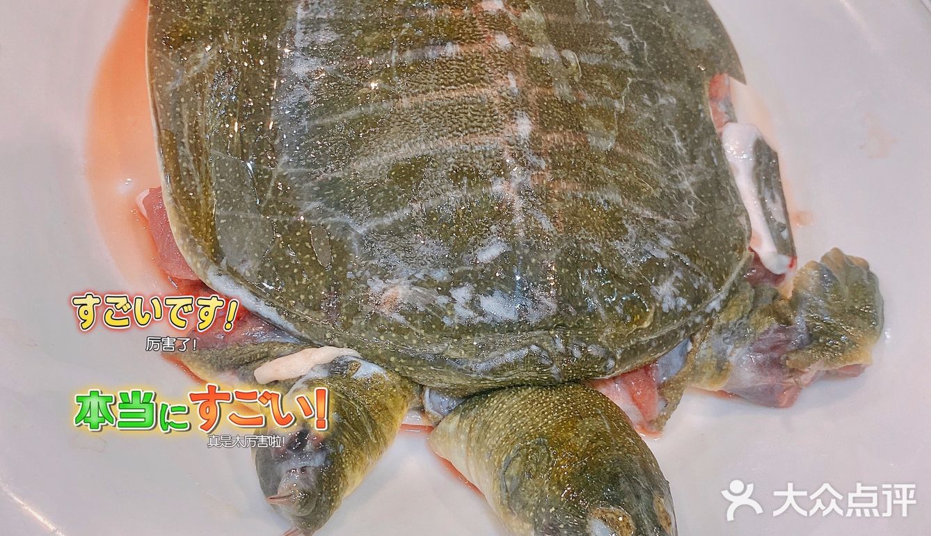正宗顺德风味美食