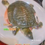 正宗顺德风味美食