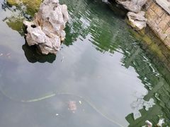 -香积寺
