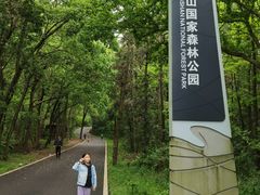 -青龙山国家森林公园