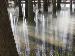 -东湖落雁景区
