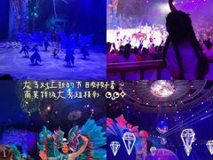 -海合安武汉极地海洋公园