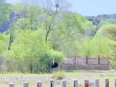 -沈阳森林动物园