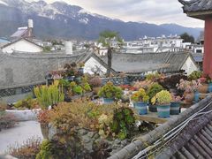 -唐咖精品咖啡(大理古城手冲店)