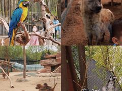 -北京野生动物园