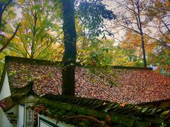 -严子陵钓台(富春江小三峡)