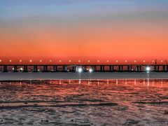 -宝安西湾红树林湿地公园