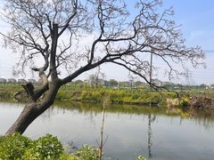 -沙家浜风景区