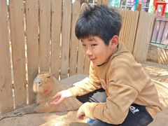 -灵玲国际马戏城