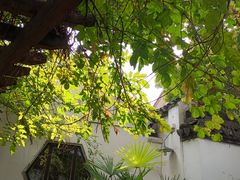 -苏州丝绸博物馆