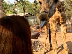 -清迈夜间动物园