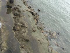 -黄金海岸环岛路