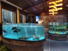 -观澜湖酒店·邀月庭中餐厅