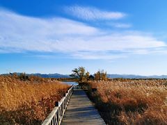 -野鸭湖国家湿地公园
