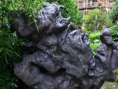 -陈家山荷花公园