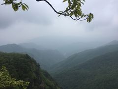 -牛背梁国家森林公园