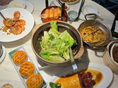 -陶陶居酒家(新天地店)