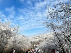 -湖州龙王山景区