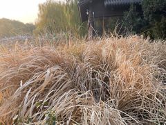 -济南大明湖景区