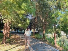 -同里国家湿地公园