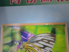 -上海昆虫博物馆