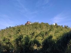 -长沙黑麋峰国家森林公园