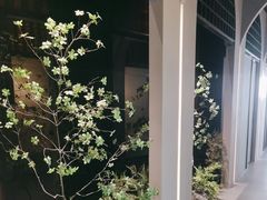 -隐溪茶馆(金虹桥店)