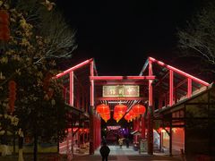 -国色天乡三期陆地乐园