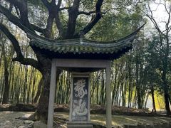 -兰亭风景区