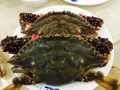 -春华海鲜城(广场西苑店)