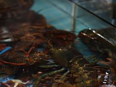 -79号渔船海鲜饭店(宝安店)