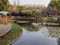 -成都市文化公园