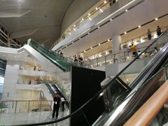 -梦之蓝青奥体育公园体育馆