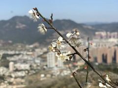 -福建天门山