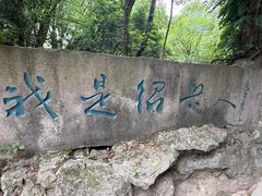 -鲁镇