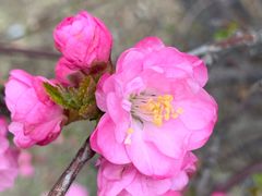 -长春公园(普阳街道)