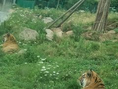 -西安秦岭野生动物园